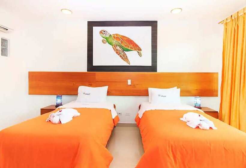 스탠다드 룸, Galapagos Tortuga Bay