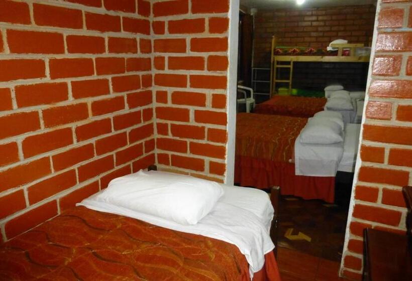 공동 객실, Hostal Nomada