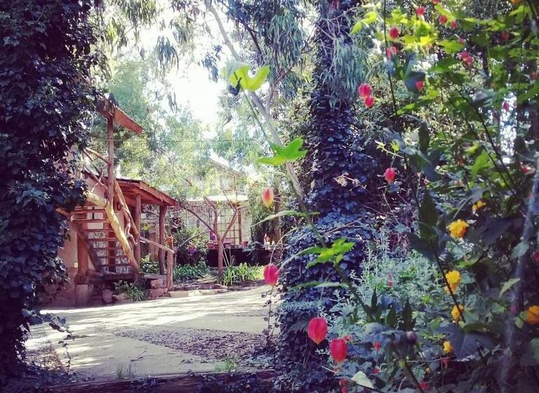 کابین, Cabañas Las Moras