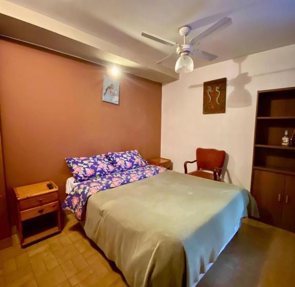 اتاق استاندارد, Open House Hostel