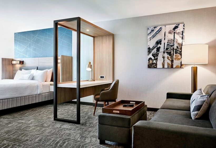 Люкс Вид на Город, Springhill Suites By Marriott Ellijay