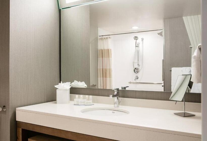 Стандартный Номер Кровать Кинг, Courtyard By Marriott Omaha Bellevue At Beardmore Event Center
