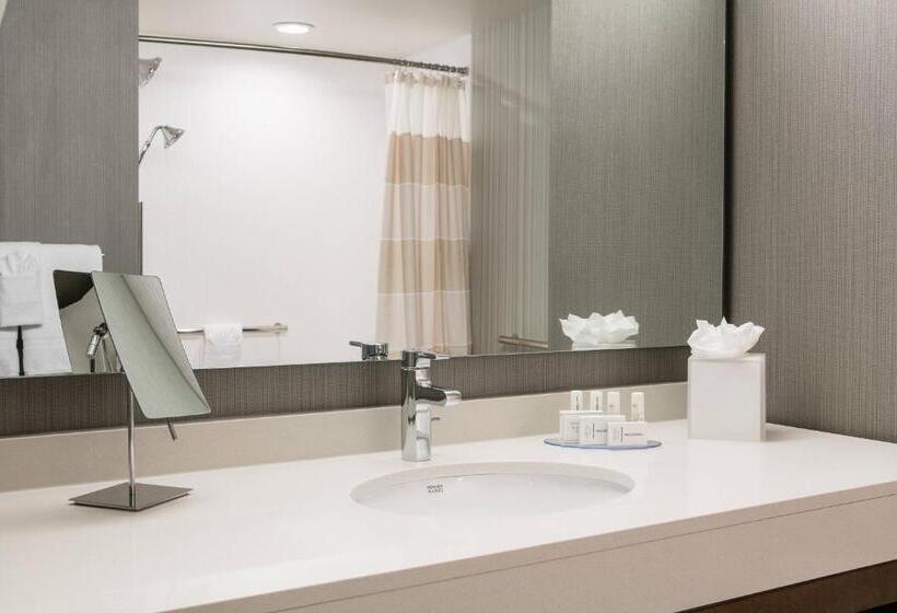 Номер Стандарт, Courtyard By Marriott Omaha Bellevue At Beardmore Event Center