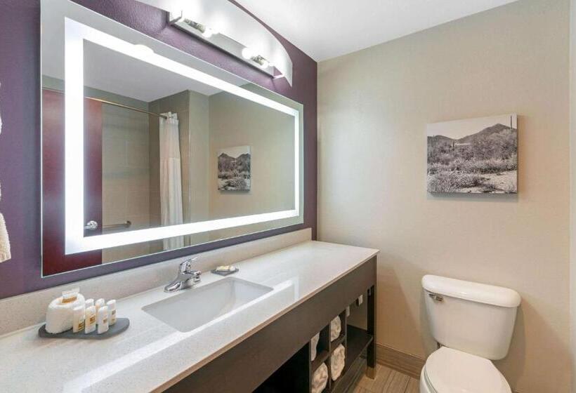 스탠다드 룸 킹사이즈 침대, La Quinta By Wyndham Williams Grand Canyon Area