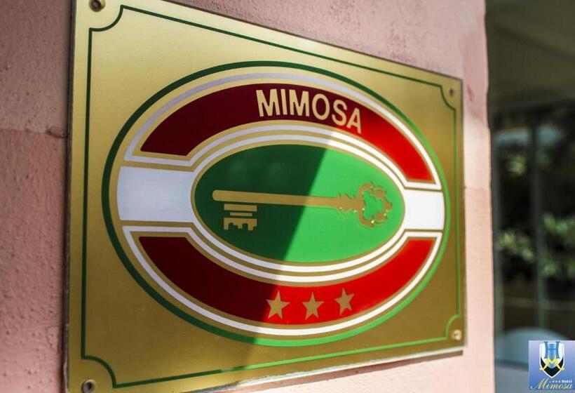 اتاق استاندارد چهار تخته, Mimosa
