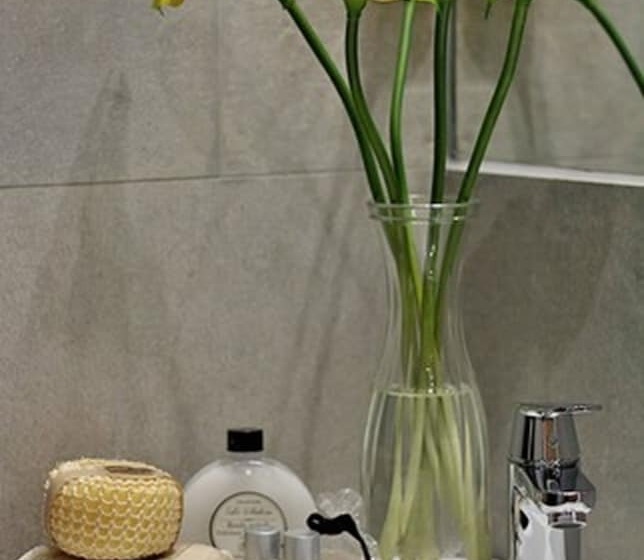 Апартаменты Deluxe 1 Спальня, Apartamentos Suites Oficentro Deluxe