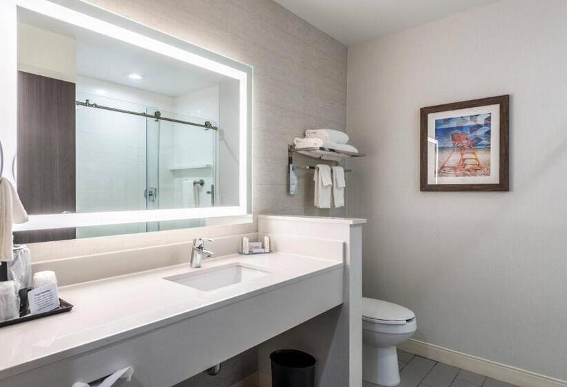 Номер Стандарт, Fairfield Inn & Suites By Marriott St. Joseph Stevensville