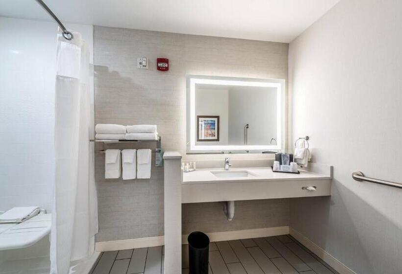 Студия Deluxe, Fairfield Inn & Suites By Marriott St. Joseph Stevensville