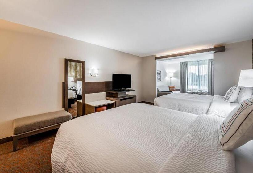 Студия Deluxe, Fairfield Inn & Suites By Marriott St. Joseph Stevensville