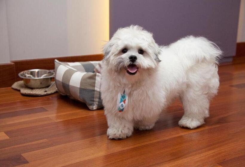 غرفة عائلية, NH Curitiba The Five