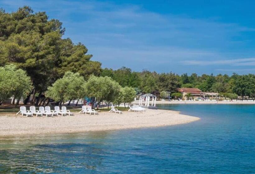 침실 1개 아파트, Villa Punta Viktory