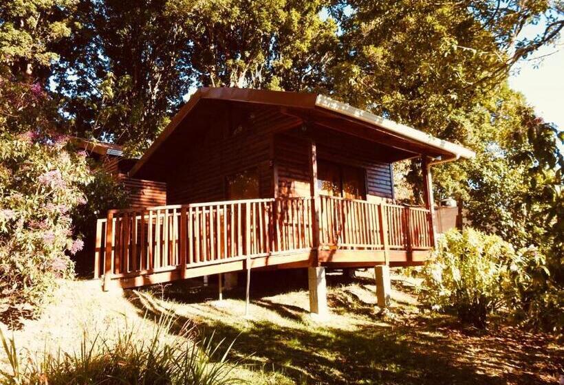 Апартаменты 1 Спальня, Cabañas San Gerardo