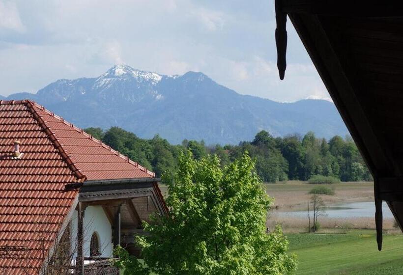 Апартаменты 1 Спальня, Gästehaus Nigglhof