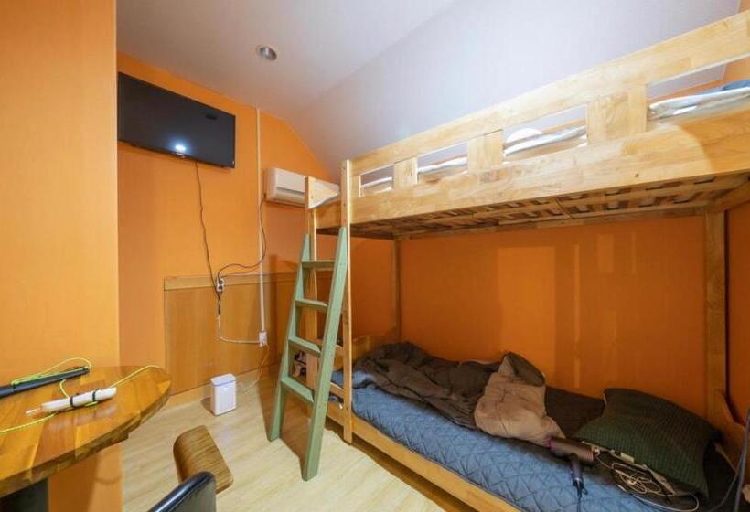 تختخواب در اتاق مشترک, Halla Guest House