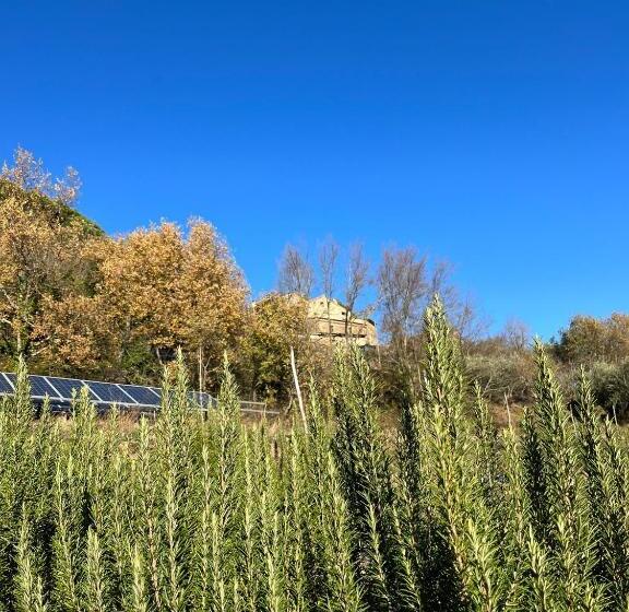 Apartamento 1 Dormitório com Vistas, Bio Agriturismo Alba Etrusca Di Cortona   Organic Farmhouse  Appartamento Lavanda Appartamento Rosma