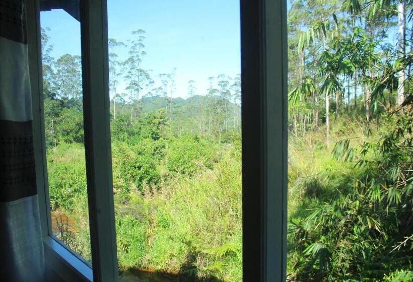 Family Suite, Triniton Holiday Villas