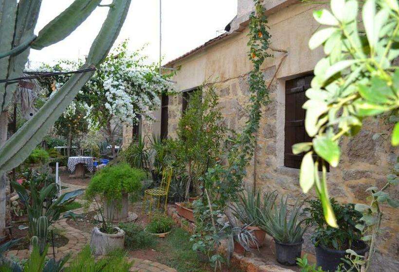 Номер Стандарт, Mystery Garden Guest House