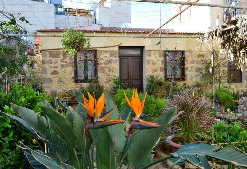 Номер Стандарт, Mystery Garden Guest House