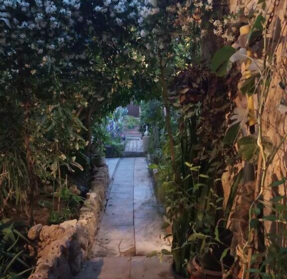 Номер Economy Индивидуальный, Mystery Garden Guest House