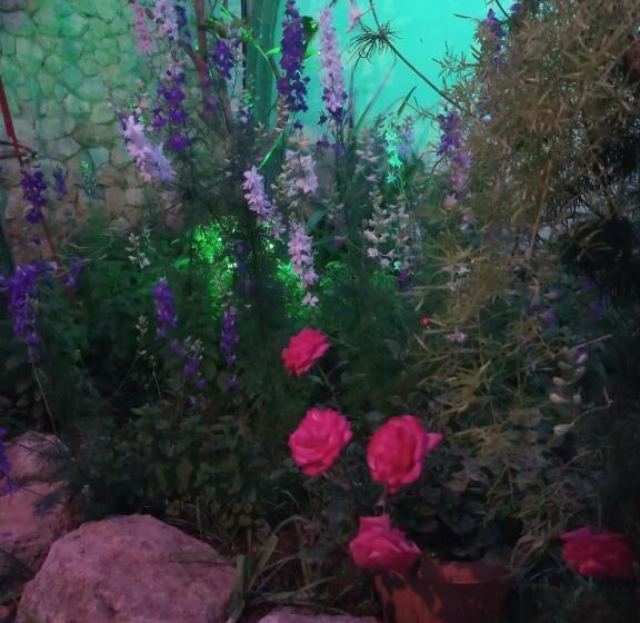 Номер Стандарт Трехместный, Mystery Garden Guest House