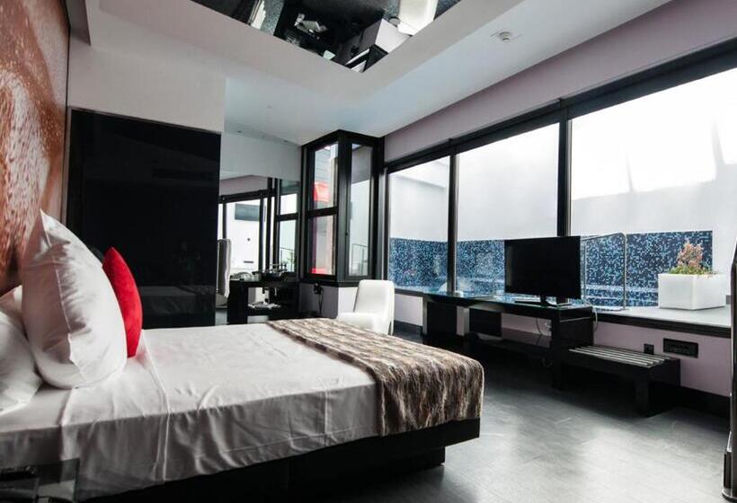 Номер Superior, Loob Madrid