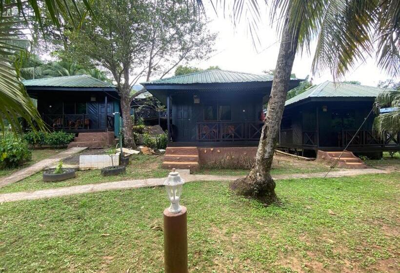 Номер Стандарт, Nazri S Place 2