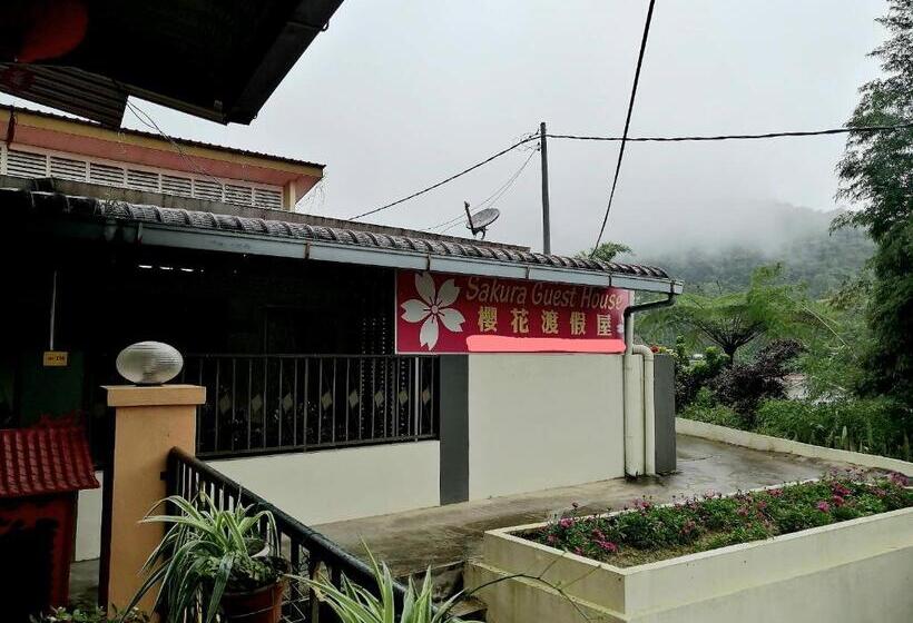 Люкс 2 Спальни, Sakura Guest House