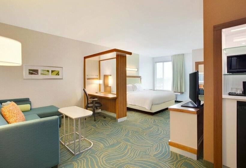 Люкс, Springhill Suites By Marriott Murray