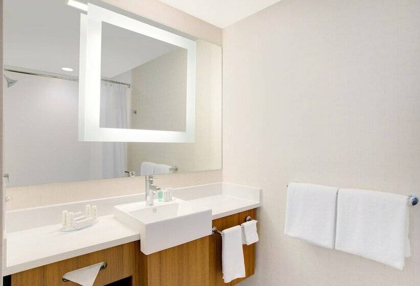 Люкс, Springhill Suites By Marriott Murray