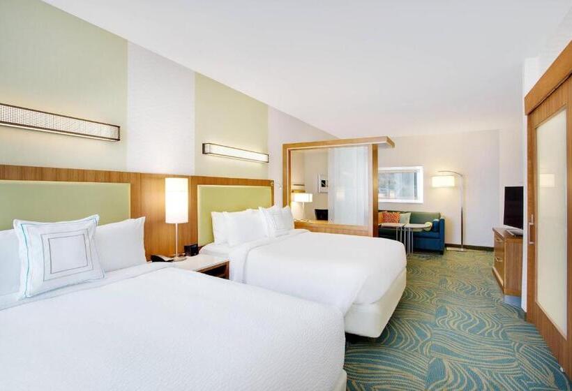 Люкс Адаптированный для Инвалидов, Springhill Suites By Marriott Murray