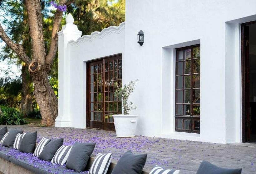 스탠다드 룸, Stellenhof Guest House