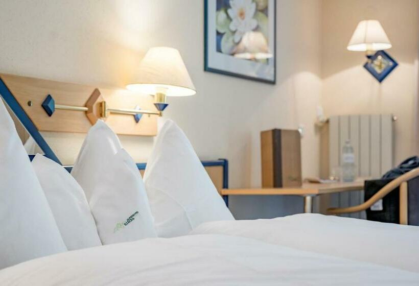 اتاق عادی, Alpenhotel Zimba