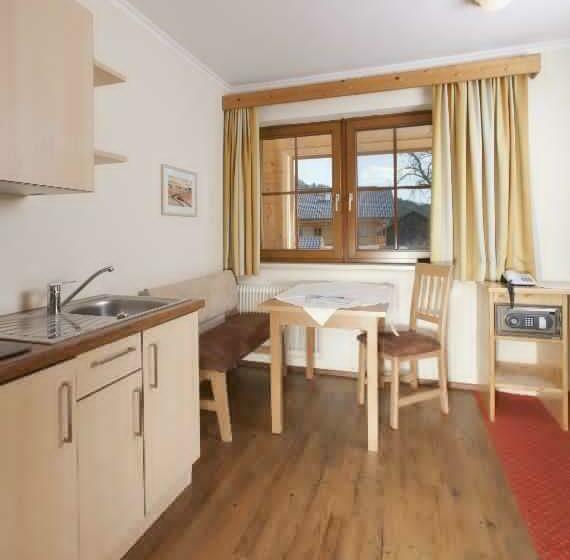 آپارتمان لوکس 1 خوابه, Aparthotel Holzerhof