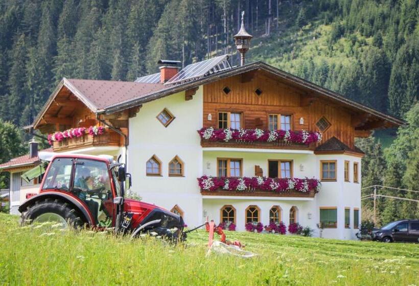 Апартаменты 1 Спальня, Berghotel Lämmerhof