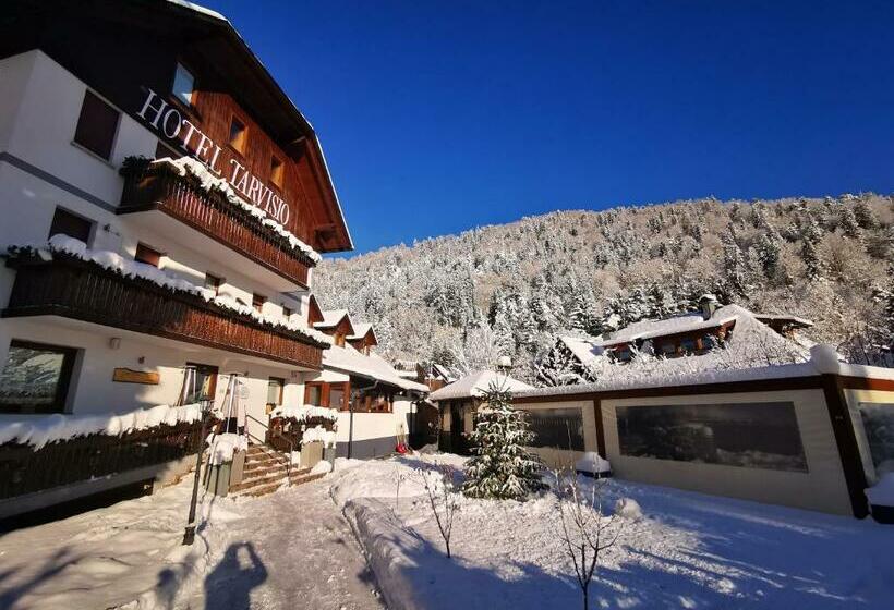 Номер Стандарт, Tarvisio Four Seasons