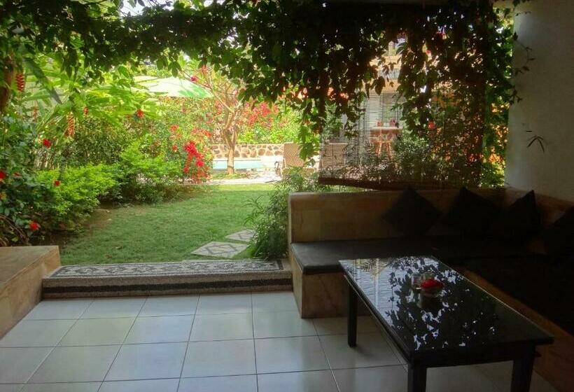 اتاق لوکس با تخت بزرگ, Villa Lumbalumba