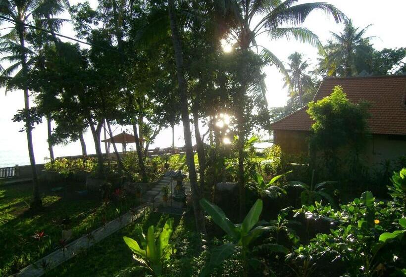 스탠다드 스튜디오 바다 전망, Alam Mimpi Bali