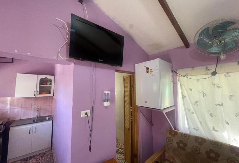 غرفة قياسية, Cabañas Tia Flor