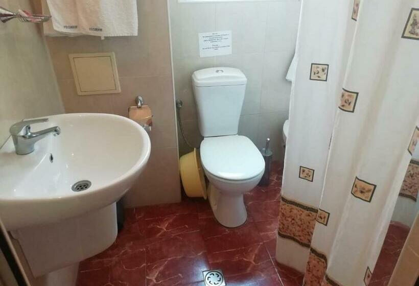 标准间带阳台, Family Hotel Mimosa