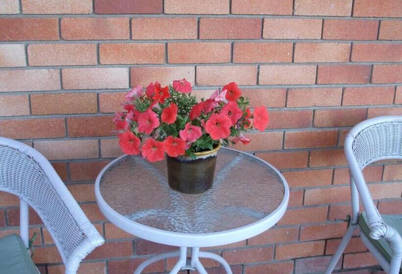 غرفة قياسية, Anna Bella Motel Glen Innes