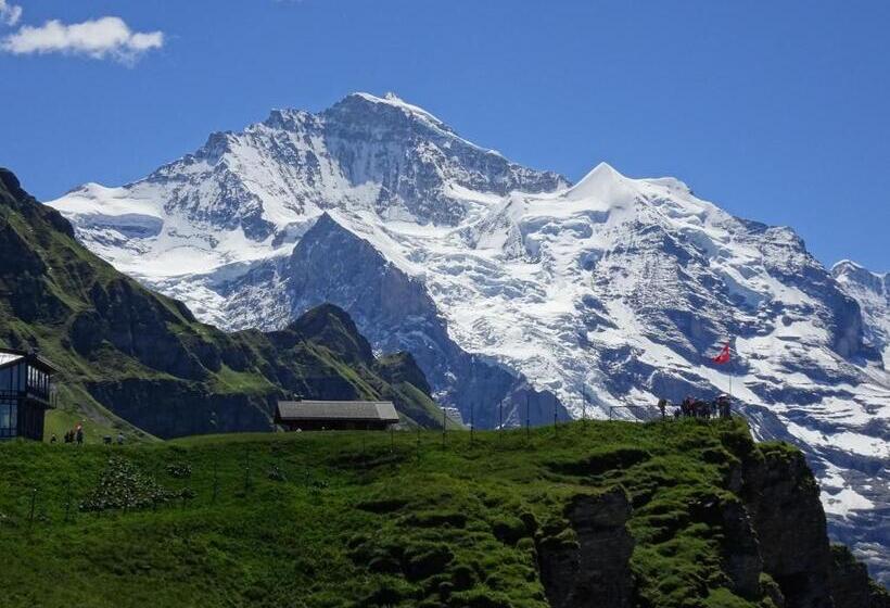Номер Superior Кровать Кинг, Chalet Alpina Gyger