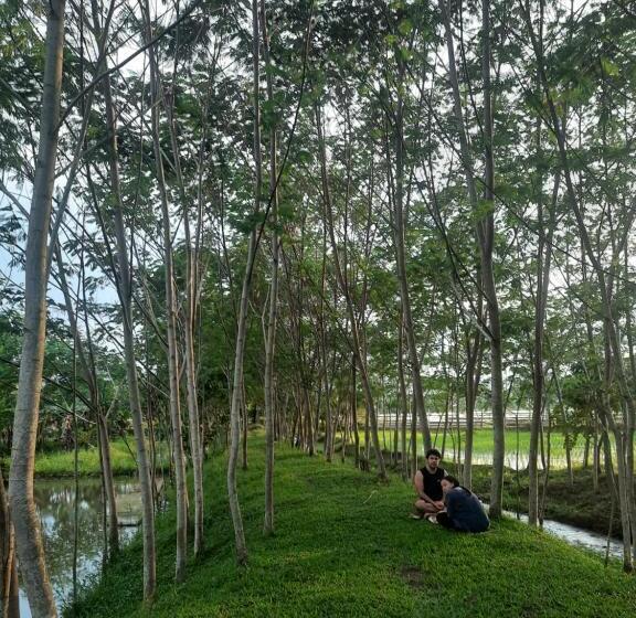 패밀리 룸, Paglinawan Organic Eco Farm