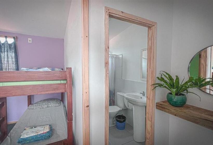 共用房间的床, Compay Hostel La Pedrera