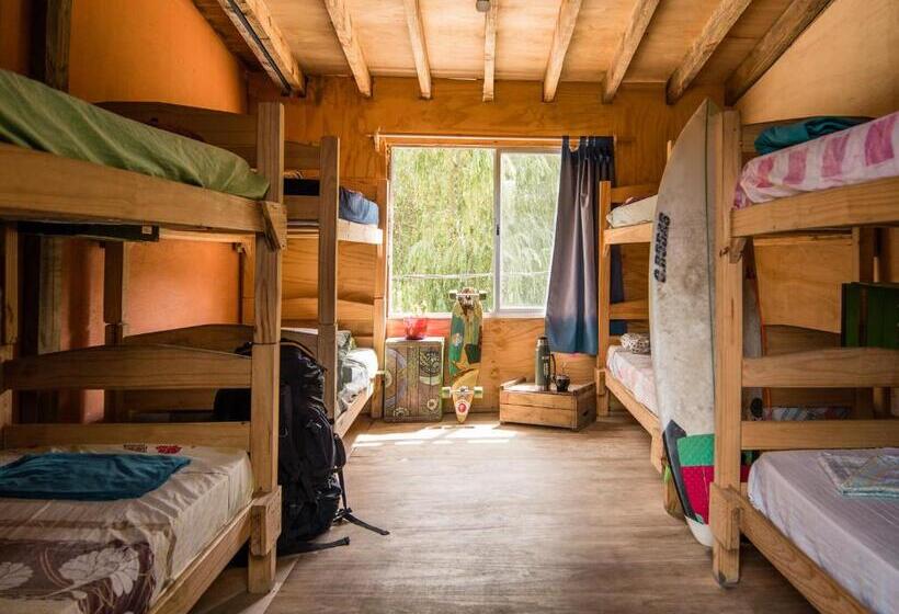 공동 객실, Compay Hostel La Pedrera