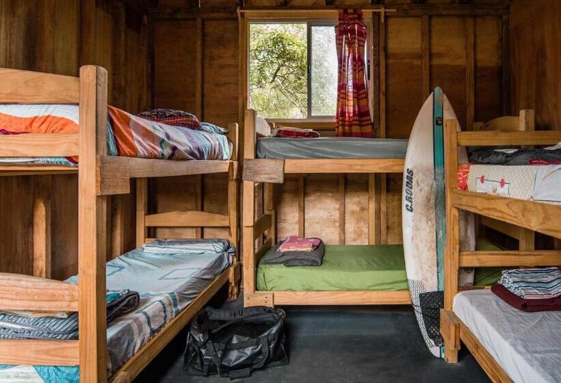스탠다드 싱글 룸, Compay Hostel La Pedrera