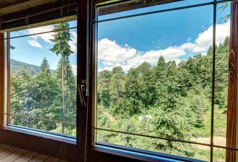 كابينة, Podgorie Spa