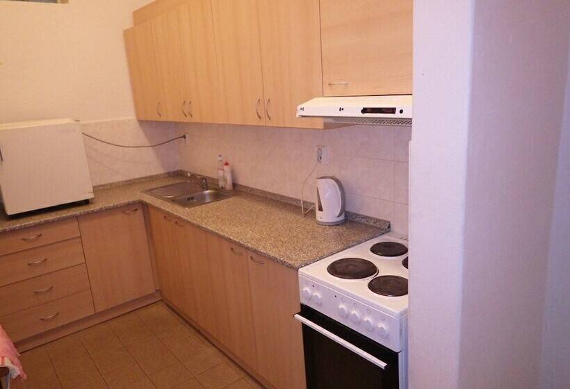 스탠다드 룸 공동 욕실, Chata Labská   špindlerův Mlýn   Hostel