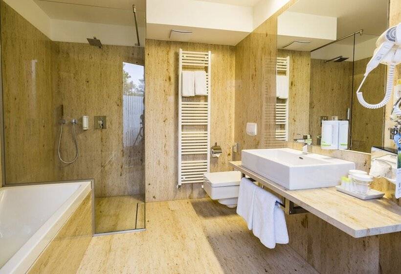 디럭스 스위트, Amenity Hotel & Resort Lipno