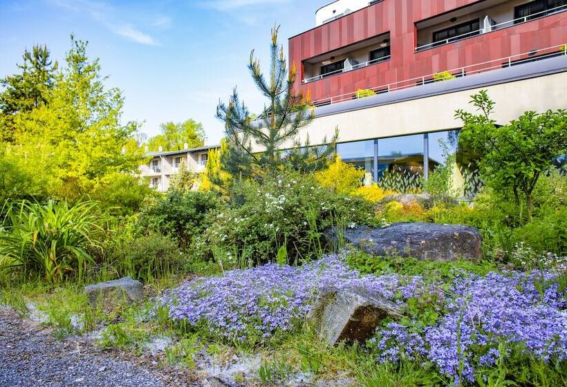 수피리어 룸, Amenity Hotel & Resort Lipno