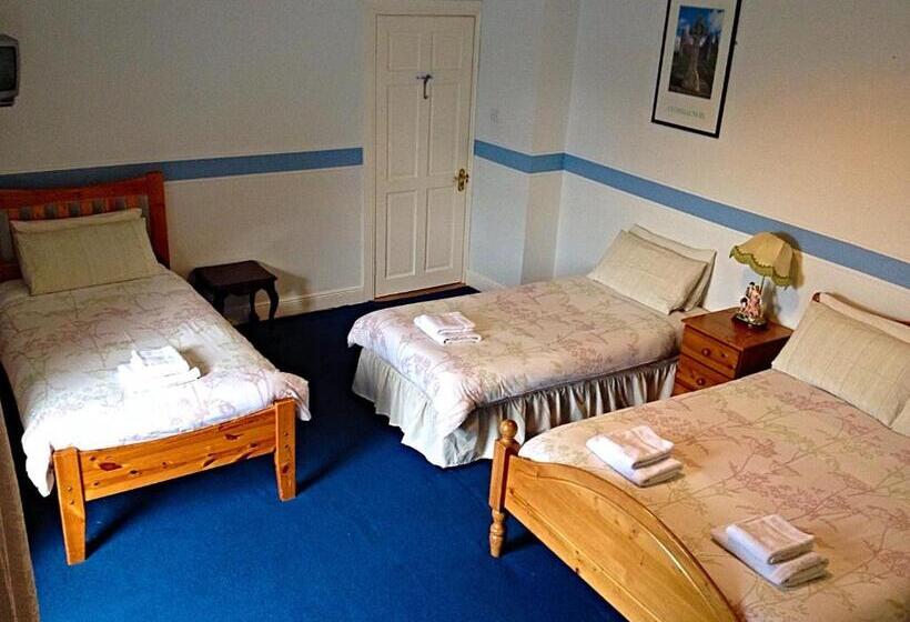 Четырехместный Номер Стандарт, Cashel Town Center Inn